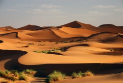 Wüste_Marokko (c) WORLD INSIGHT