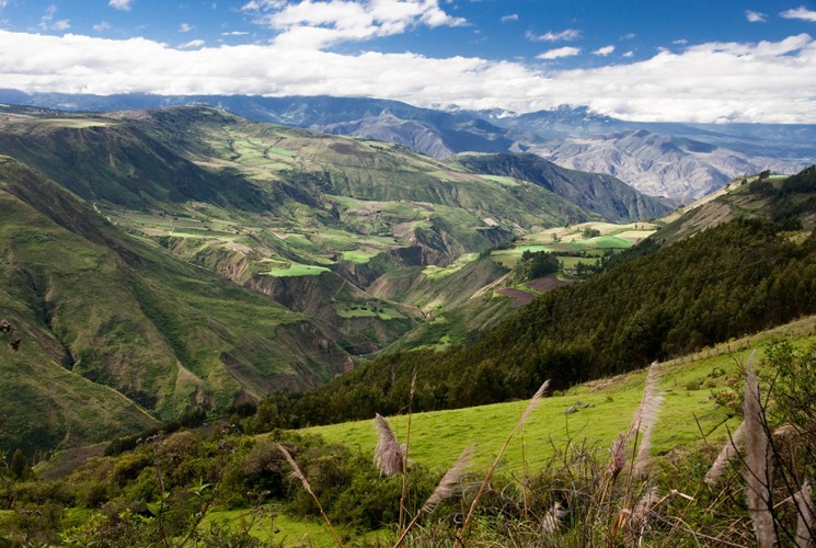 Das Andenhochland ist mit grüner Paramo-Vegetation bedeckt.
