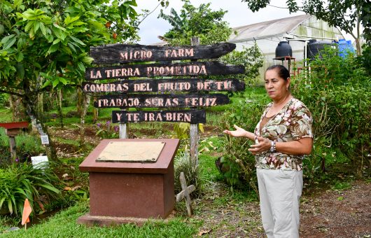 Costa Ricas Schulsystem: Hier wird Nachhaltigkeit groß geschrieben!