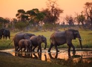 Botswana: Zwei Perspektiven – Ein Abenteuer