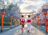 Tempel, Torii und Traditionelles