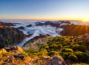 Wanderparadies Madeira: Abenteuer und Natur pur