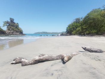 Abenteuerliche Reise durch Costa Rica: Regenwälder, Vulkane und Tierbegegnungen