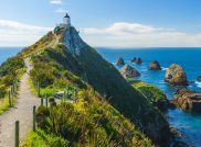 Neuseeland pur: Zu Besuch in einer Maori Lodge