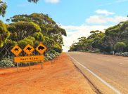 Abenteuer in Down Under