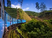 Sri Lanka ComfortPlus: Erleben, entspannen, eintauchen