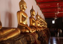 goldene Buddhas in einer Reihe