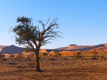 Namibia hautnah