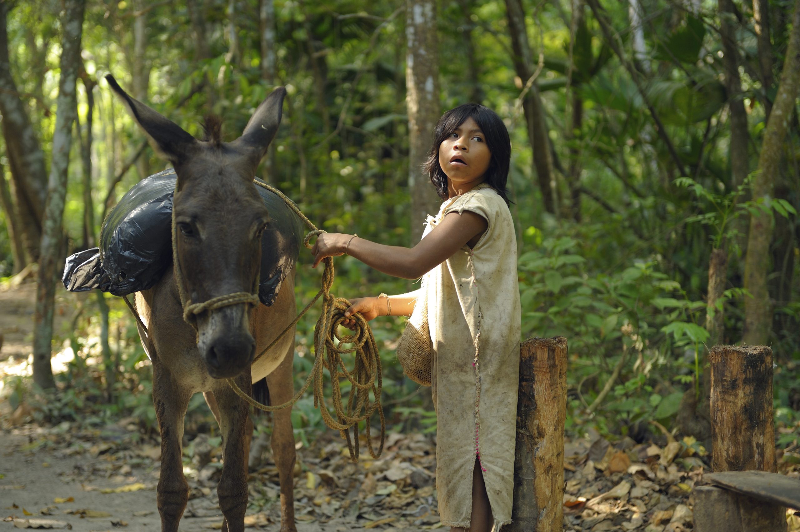 Junge mit Esel in Tayrona Park