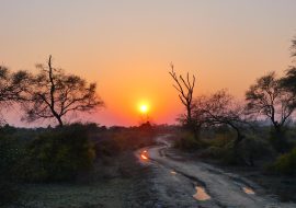 Sonnenuntergang