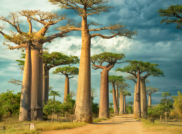 Madagaskar – Verantwortung, Vertrauen und Vorfreude