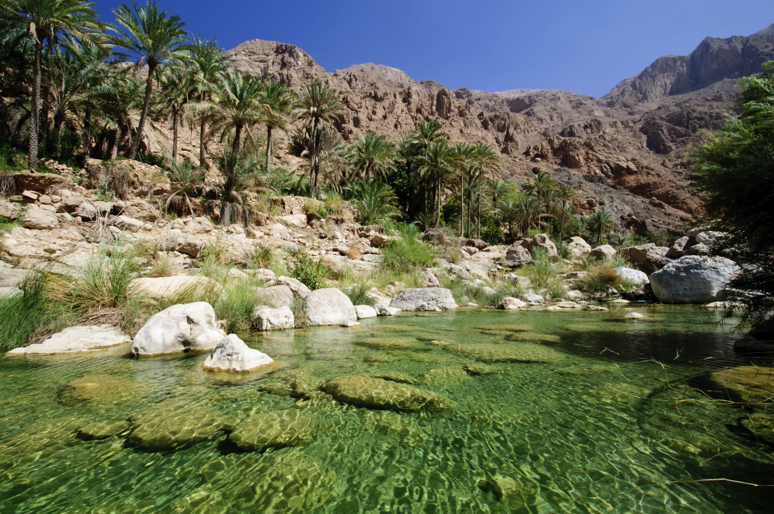 Ein grünes Wadi im Oman